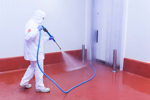 Best Pre-Holiday Cleaning  in North River Shores, FL
