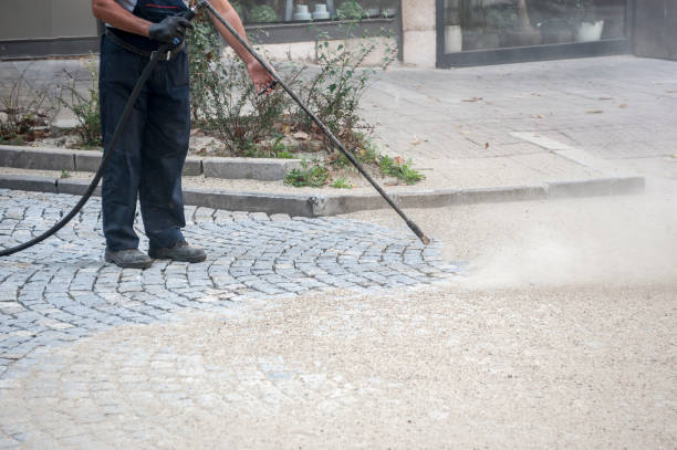 Best Spring Cleaning  in North River Shores, FL