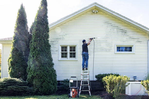 Best Roof Washing  in North River Shores, FL